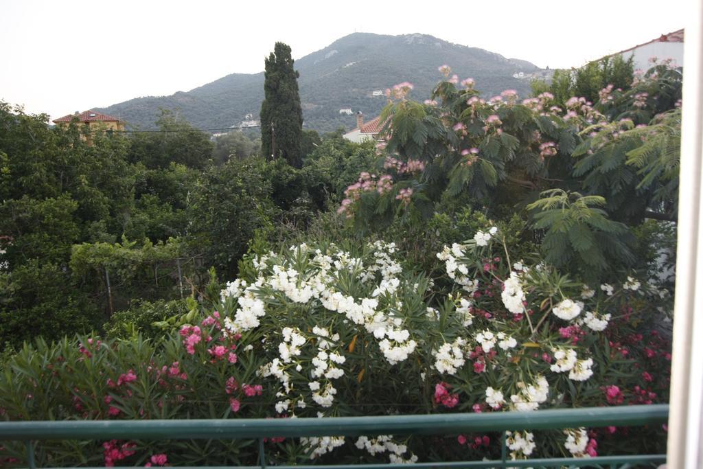 Sappho Studios Mytilene Ruang foto